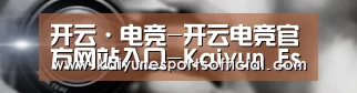 公司动态