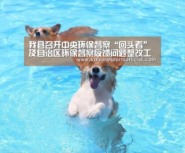 我县召开中央环保督察“回头看”及自治区环保督察反馈问题整改工作推进会【kaiyun】(图2) 开云电竞